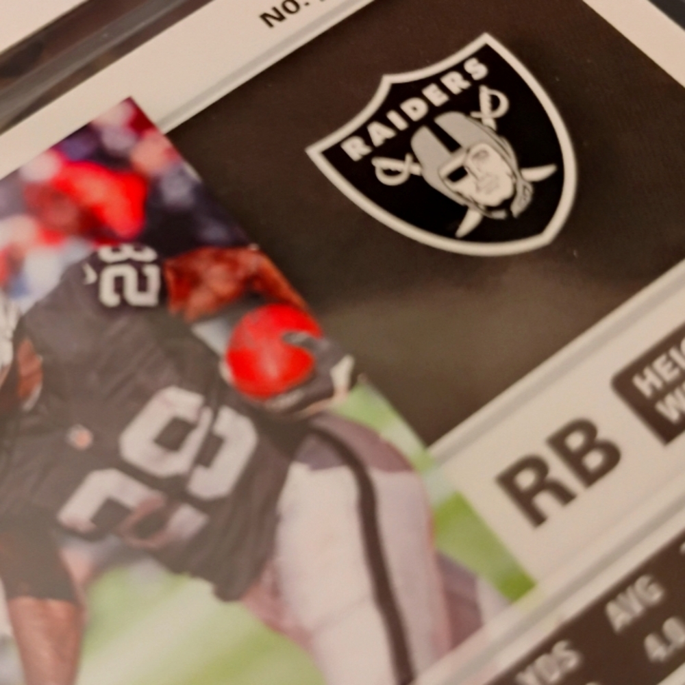 Raiders Assorted 9 Mint Cards